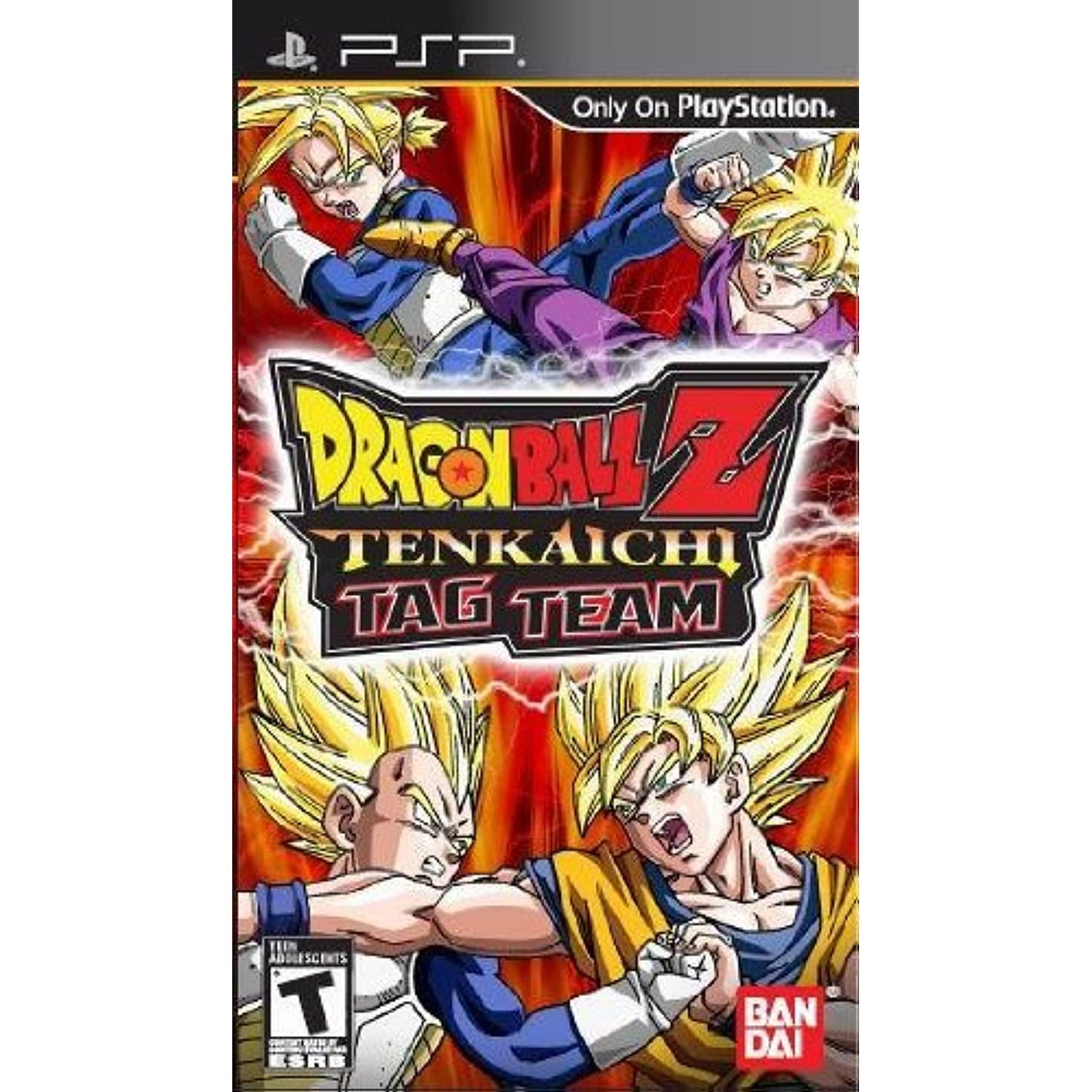 Tenkaichi Tag Team Testimonial